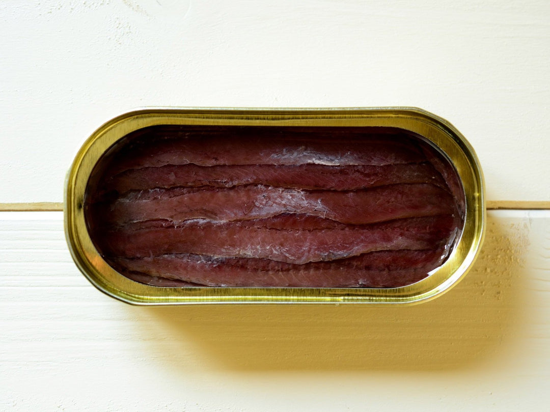 Cantabrian anchovies – Tinned Fish | Wholesale